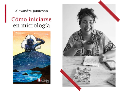 Cómo iniciarse en micrología - Alexandra Jamieson - microficción - Macedonia ediciones - libros - lecturas